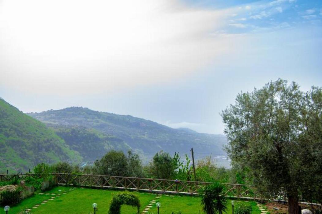 Villa Aurora Oasi Verde Сорренто Екстер'єр фото