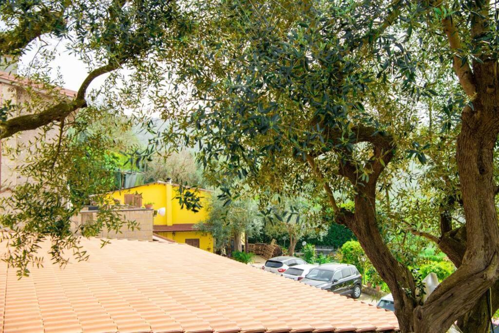 Villa Aurora Oasi Verde Сорренто Екстер'єр фото